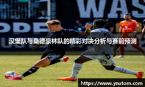汉堡队与桑德豪林队的精彩对决分析与赛前预测